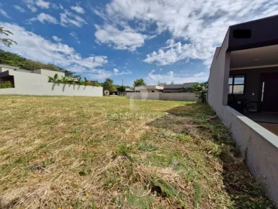 Lote/Terreno à venda, 250m² no Jardim Cybelli, Ribeirão Preto