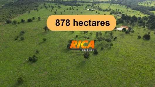 Fazenda/Sítio à venda, 8780000m² no , Machadinho D'Oeste