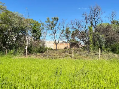 Lote/Terreno à venda, 360m² no Vila Nascente, Campo Grande