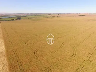 Fazenda/Sítio à venda, 592900m² no , Leópolis