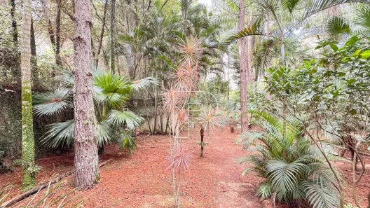Lote/Terreno à venda, 1000m² no São Paulo II, Cotia