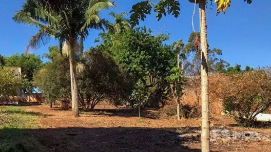 Fazenda/Sítio com 1 Quarto à venda, 3890m² no Parque Nacional, Londrina