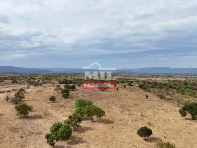 Fazenda/Sítio à venda, 1m² no , Arraias