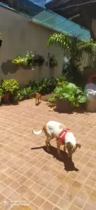 Casa com 3 Quartos à venda, 150m² no Cidade Salvador, Jacareí