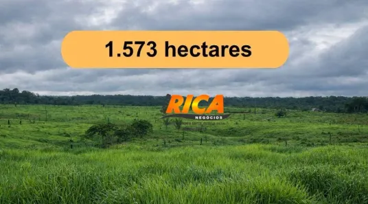 Fazenda/Sítio à venda, 15730000m² no , Humaitá