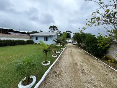 Fazenda/Sítio com 2 Quartos à venda, 120m² no Roseira de São Sebastião, São José dos Pinhais