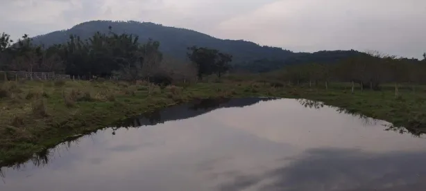 Fazenda/Sítio à venda, 20000m² no Rincão de São Brás (Passo da Areia), Viamão