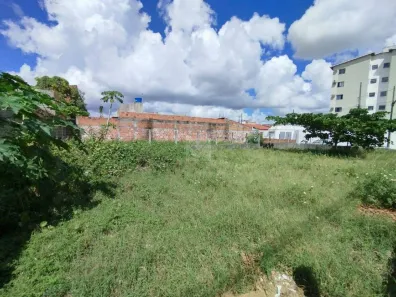 Lote/Terreno para alugar, 310m² no São Brás, Nossa Senhora do Socorro