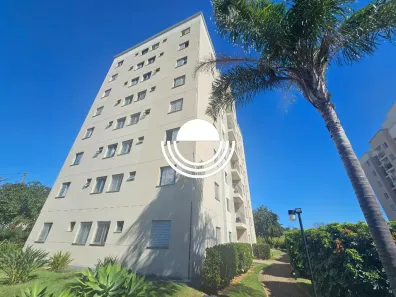 Apartamento com 2 Quartos à venda, 49m² no Jardim Myrian Moreira da Costa, Campinas