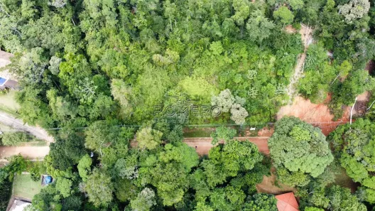 Lote/Terreno à venda, 1515m² no Caçandoca, Ubatuba
