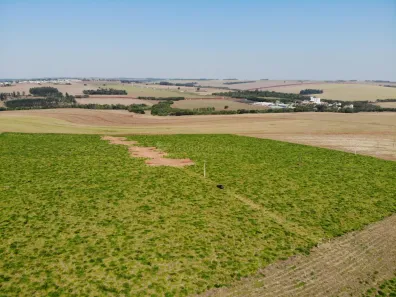 à venda, 20000m² no , Iguaraçu