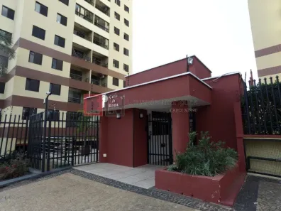 Apartamento com 3 Quartos para alugar, 74m² no Chácara Primavera, Campinas