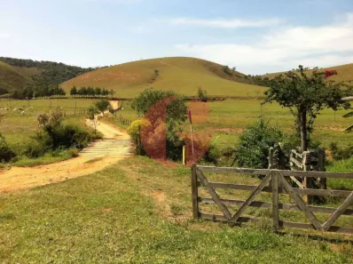 Fazenda/Sítio com 2 Quartos à venda, 150m² no Bairro dos Macacos, Silveiras