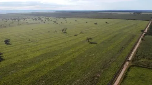 Fazenda/Sítio à venda, 423000000m² no Centro, Luís Eduardo Magalhães