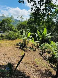 Lote/Terreno à venda, 525m² no Córrego Grande, Florianópolis
