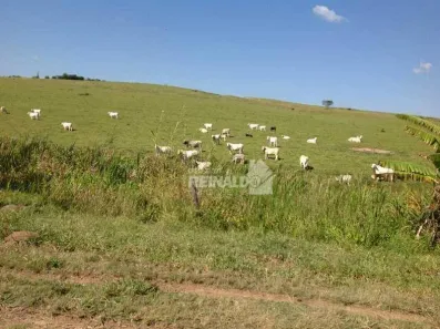 Fazenda/Sítio com 3 Quartos à venda, 250m² no Bairro da Ponte, Itatiba