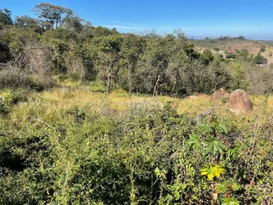 Lote/Terreno à venda, 1564m² no Chácaras Alpina, Valinhos