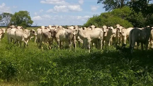 com 10 Quartos à venda, 3150m² no Centro, Jaíba