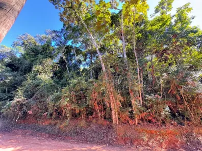 Lote/Terreno à venda, 5000m² no Canaã 2, Jambeiro