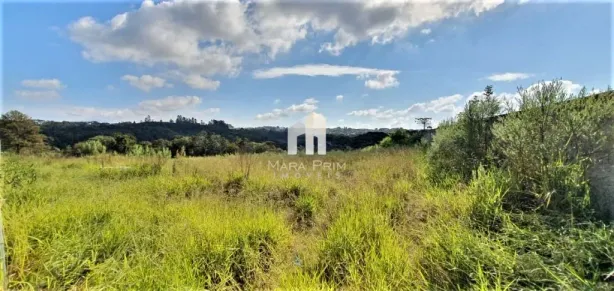 Lote/Terreno à venda, 15716m² no Arruda, Colombo