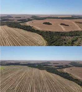 Fazenda/Sítio à venda, 520000m² no Setor Central, Rio Verde