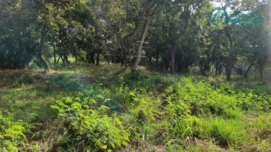 Lote/Terreno à venda, 1000m² no Encanto da Lagoa, Lagoa Santa