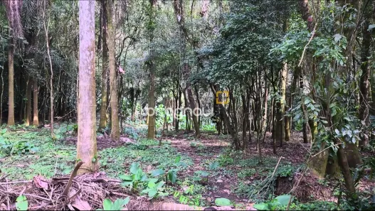 Lote/Terreno à venda, 20m² no Santa Augusta, Braço do Norte