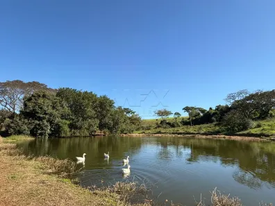 Fazenda/Sítio à venda, 180m² no Vila Americana, Bariri