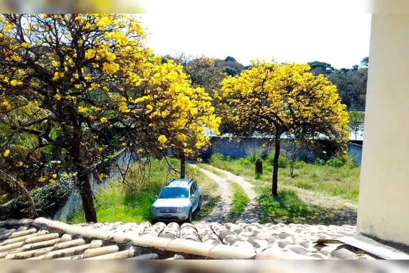Foto 9