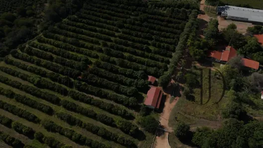 Fazenda/Sítio à venda, 9000000m² no , Petrolina