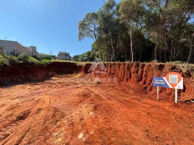 Lote/Terreno à venda, 446m² no Estrela, Ponta Grossa