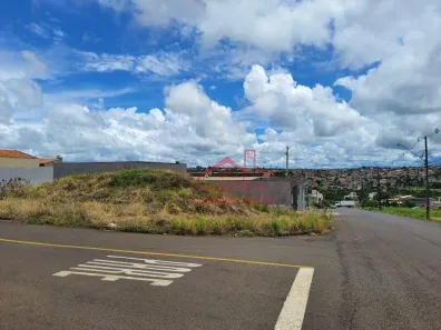 Lote/Terreno à venda, 330m² no Jardim Maria Luiza, Londrina
