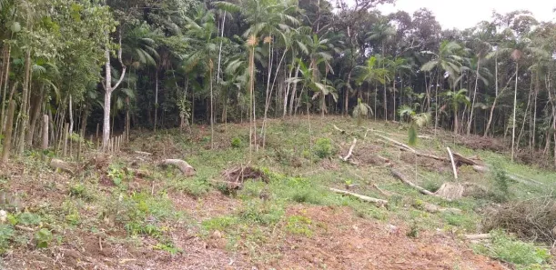 Lote/Terreno à venda, 4455m² no , Barra Velha