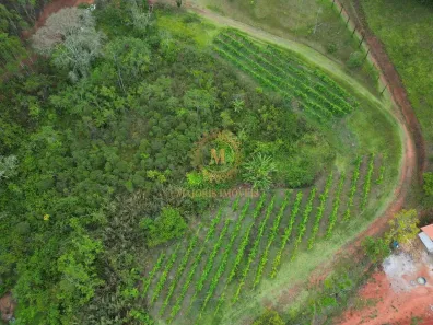 Lote/Terreno à venda, 250000m² no , Marechal Floriano