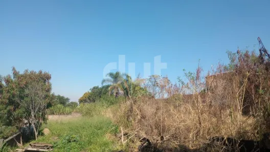Lote/Terreno à venda, 250m² no Cidade Satélite Íris, Campinas