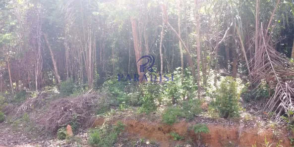 Lote/Terreno à venda, 2160m² no Açu da Torre, Mata de São João