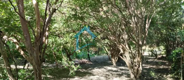 Lote/Terreno à venda, 2000m² no Centro, Contagem
