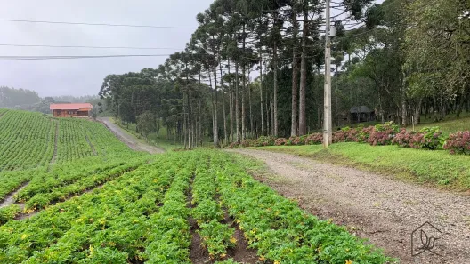 Fazenda/Sítio com 2 Quartos à venda, 51238m² no Bateias de Baixo, Campo Alegre