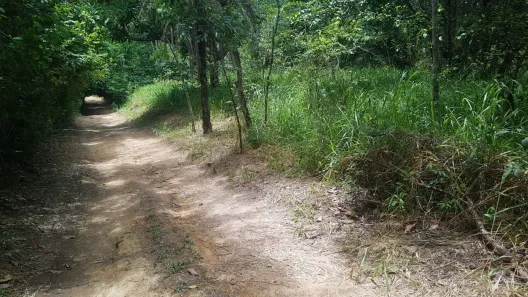 Fazenda/Sítio com 4 Quartos à venda, 30000m² no , Brasília