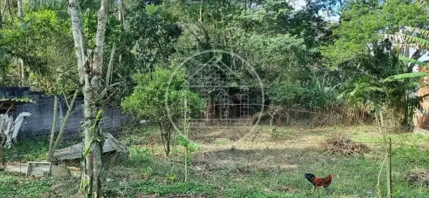 Lote/Terreno à venda, 2000m² no Jardim Shangrilá (Zona Sul), São Paulo