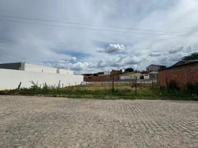 Lote/Terreno à venda, 450m² no Terra Nova, Terra Nova