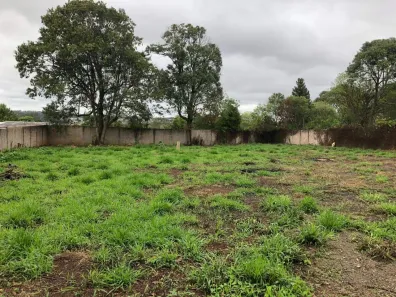 Lote/Terreno à venda, 2542m² no Cará-cará, Ponta Grossa