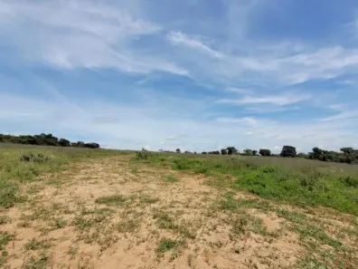 Fazenda/Sítio com 1 Quarto à venda, 20000m² no Luizote de Freitas, Uberlândia