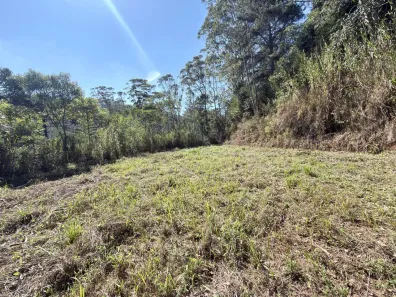 Lote/Terreno à venda, 2600m² no Mury, Nova Friburgo