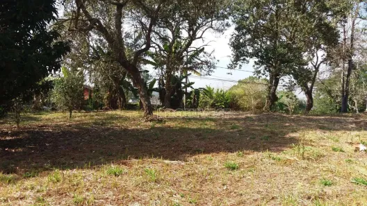 Lote/Terreno à venda, 2109m² no Jardim Ipês, Cotia