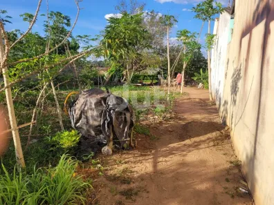 Lote/Terreno à venda, 611m² no Bosque das Palmeiras, Campinas