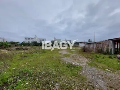 Lote/Terreno para alugar, 5635m² no Forquilhas, São José