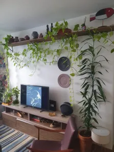 Apartamento com 2 Quartos à venda, 70m² no Vila Itapura, Campinas