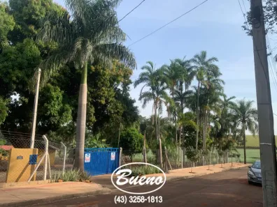 Fazenda/Sítio com 3 Quartos à venda, 1m² no Antiga Linha Suburbana, Ibiporã