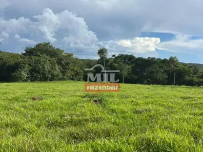 Fazenda/Sítio à venda, 500m² no , Crixás
